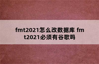 fmt2021怎么改数据库 fmt2021必须有谷歌吗